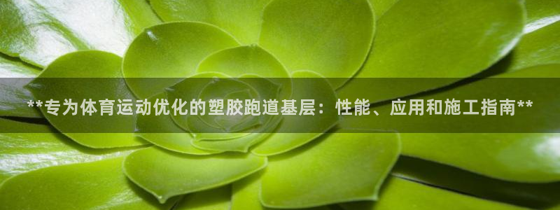 红足1世足球比分