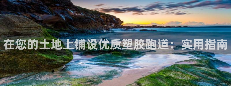 66814红足：在您的土地上铺设优质塑胶跑道：实用指南