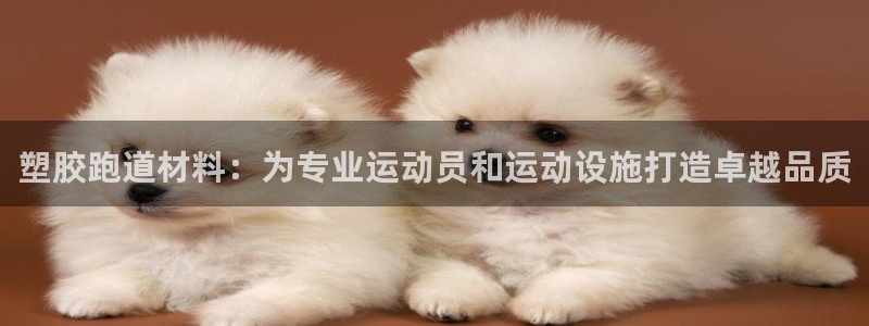 红足一1世66814新宝：塑胶跑道材料：为专业运动员和运动设施打造卓越品质