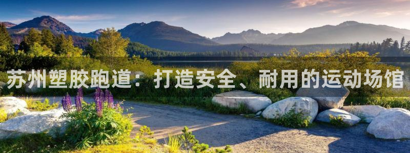 红足一丰：苏州塑胶跑道：打造安全、耐用的运动场馆