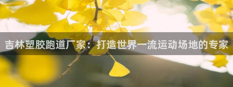 红足1世足球网址：吉林塑胶跑道厂家：打造世界一流运动场地的专家