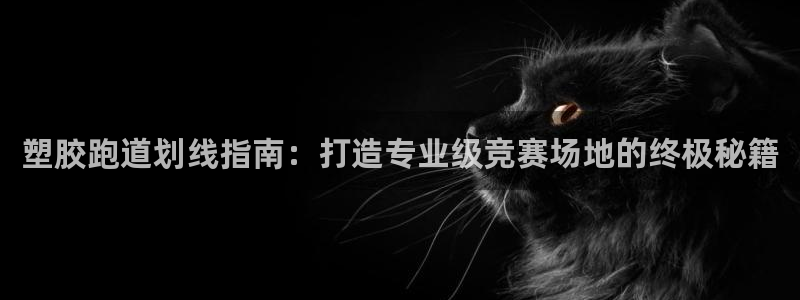 红世一足球比分：塑胶跑道划线指南：打造专业级竞赛场地的终极秘籍