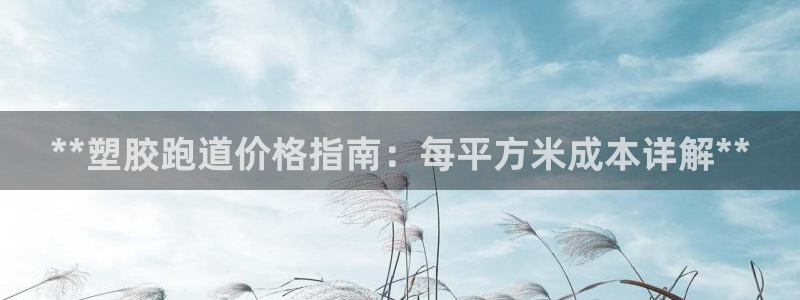 红足1世开奖预测：**塑胶跑道价格指南：每平方米成本详解**
