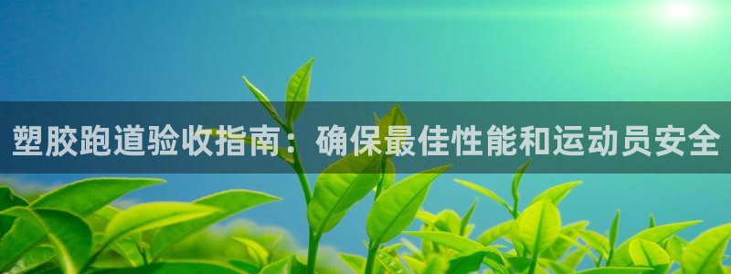 红足i世足球手机网：塑胶跑道验收指南：确保最佳性能和运动员安全