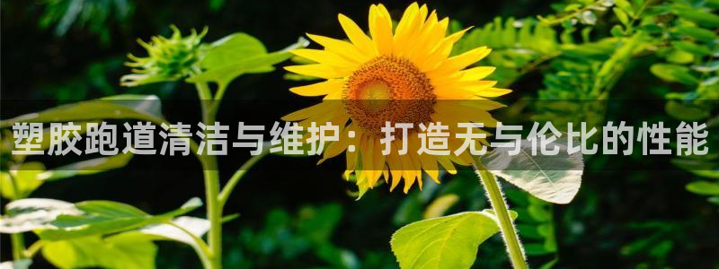 红足一生世：塑胶跑道清洁与维护：打造无与伦比的性能