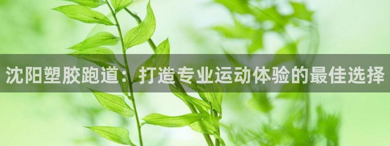 红足一1世66814：沈阳塑胶跑道：打造专业运动体验的最佳选择