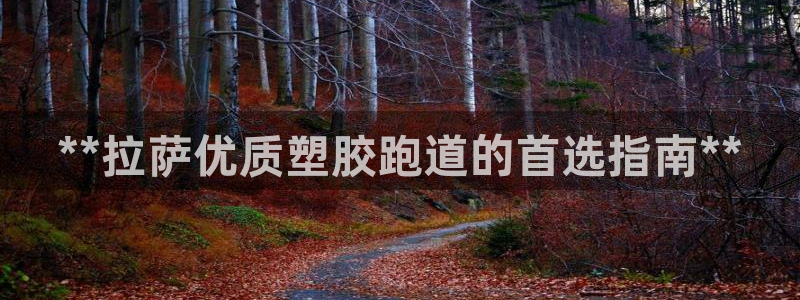 百度红足一1是为什么：**拉萨优质塑胶跑道的首选指南**