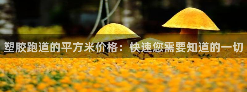 红足一1世手机开奖：塑胶跑道的平方米价格：快速您需要知道的一切