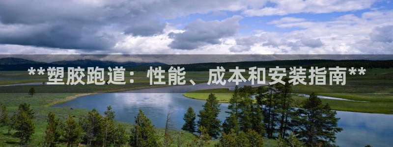 红足一1世皇冠地址：**塑胶跑道：性能、成本和安装指南**