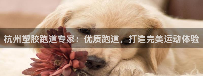 红足一1世手机开奖：杭州塑胶跑道专家：优质跑道，打造完美运动体验