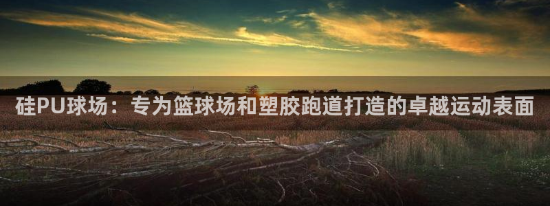 333814红·足一世比分：硅PU球场：专为篮球场和塑胶跑道打造的卓越运动表面