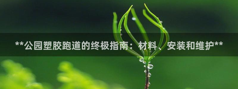 红足一1世比分球探：**公园塑胶跑道的终极指南：材料、安装和维护**