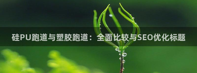 红足1一世开奖版：硅PU跑道与塑胶跑道：全面比较与SEO优化标题