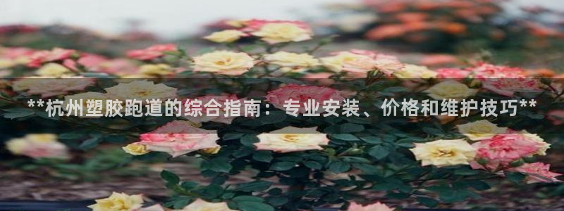 百度红足一1世：**杭州塑胶跑道的综合指南：专业安装、价格和维护技巧**