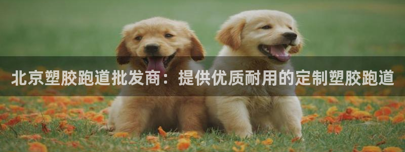 红足一1世官网足球推荐真人：北京塑胶跑道批发商：提供优质耐用的定制塑胶跑道
