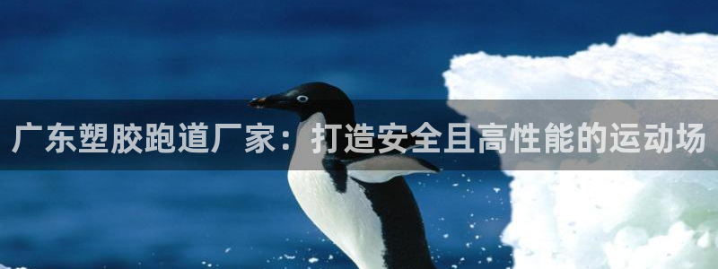 红足一1世：广东塑胶跑道厂家：打造安全且高性能的运动场