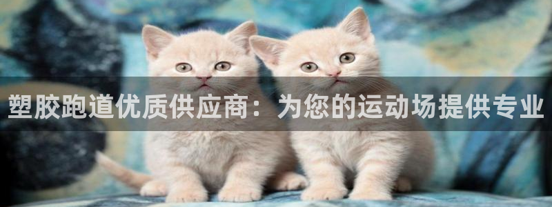 红足1世足球比分预测：塑胶跑道优质供应商：为您的运动场提供专业