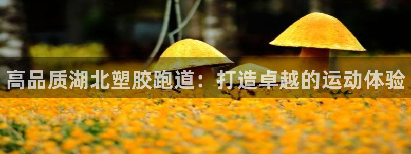 红足足球网