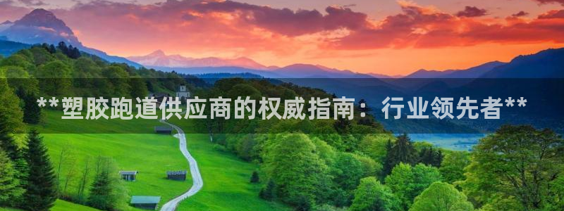 红足1世手足球比分：**塑胶跑道供应商的权威指南：行业领先者**