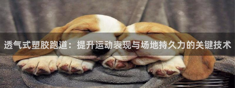 红足1世足球：透气式塑胶跑道：提升运动表现与场地持久力的关键技术