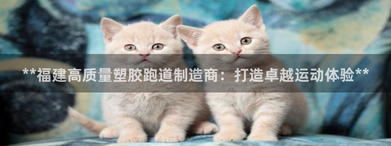 百度红足一1视频在线观看