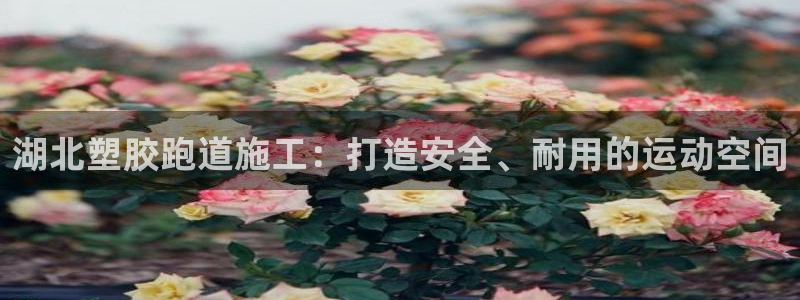 红足一一世足球网开奖记录：湖北塑胶跑道施工：打造安全、耐用的运动空间