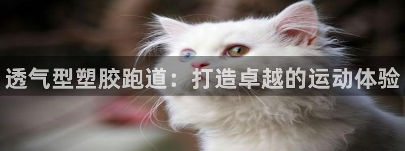 红足1世1站：透气型塑胶跑道：打造卓越的运动体验