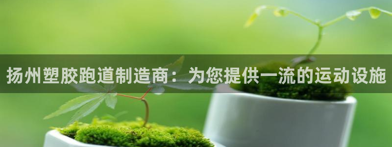 红足一1世666814足球：扬州塑胶跑道制造商：为您提供一流的运动设施