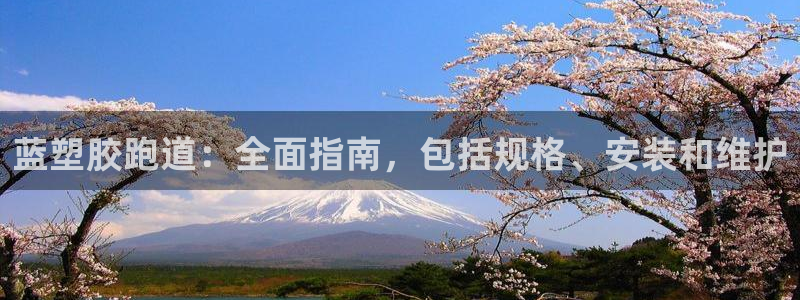 红足i世足球手机网：蓝塑胶跑道：全面指南，包括规格、安装和维护