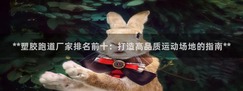 红足一1世比分球探：**塑胶跑道厂家排名前十：打造高品质运动场地的指南**