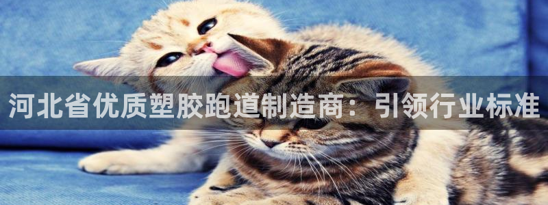 红足1世足球比分网址：河北省优质塑胶跑道制造商：引领行业标准