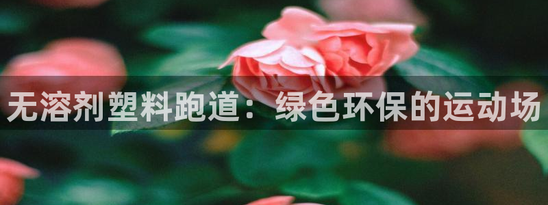 红足一1世手机开奖
