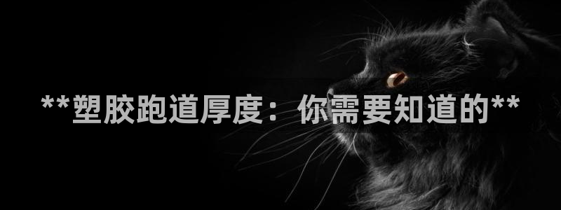 红足 世足球手机网