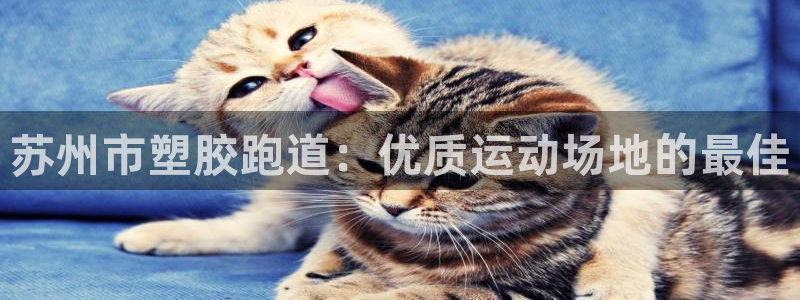 红足一1世开奖记录
