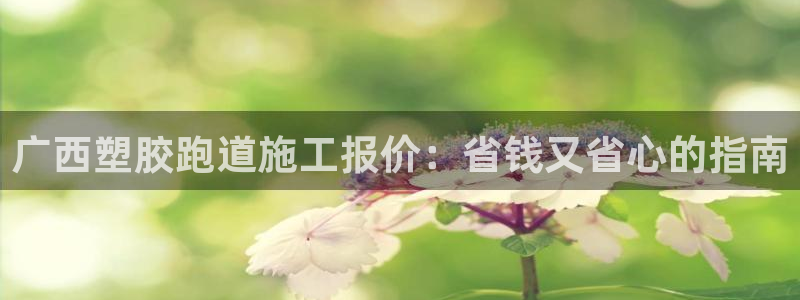 红足一1世66814新宝：广西塑胶跑道施工报价：省钱又省心的指南