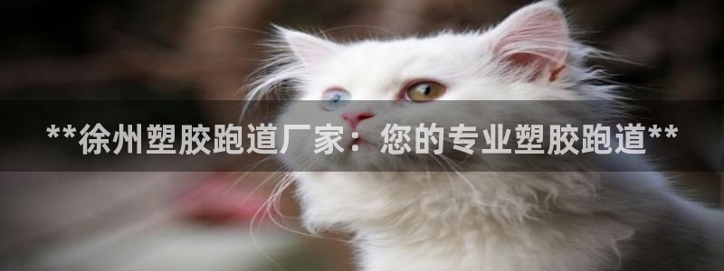 红足一丰：**徐州塑胶跑道厂家：您的专业塑胶跑道**