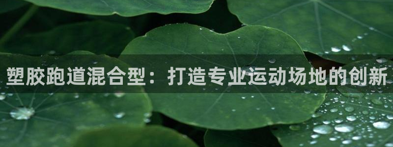 红足一1世平台