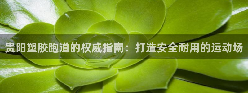 红足一1世手机皇冠