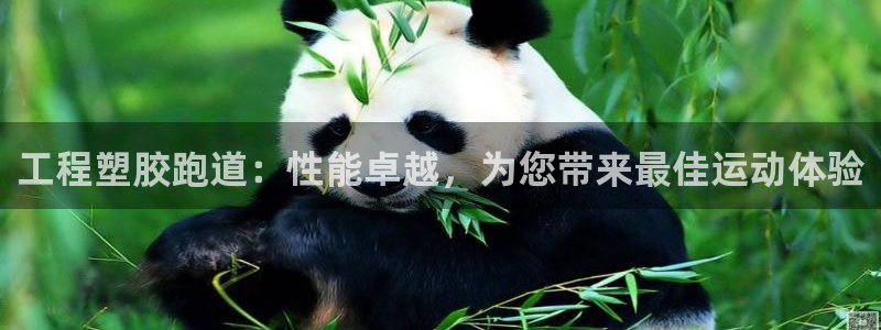 新2足球平台出租网站