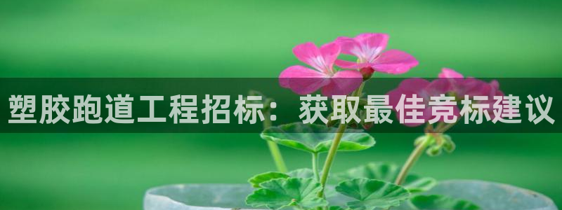 红足1世手机板