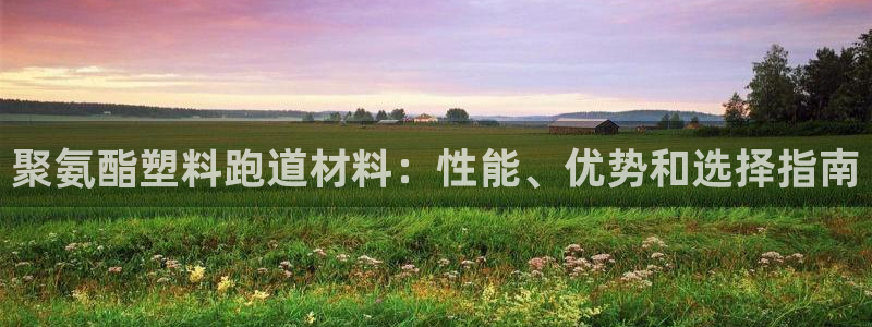 红足1世足球比分预测