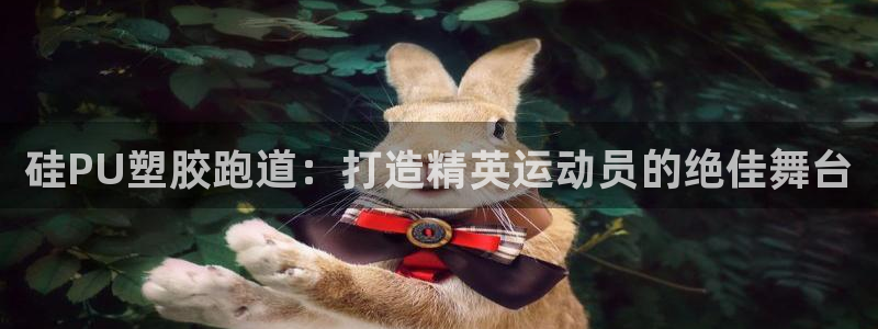 红足一1世即时比分