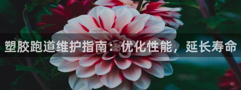 新2足球平台出租网站