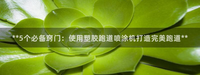红足体育网