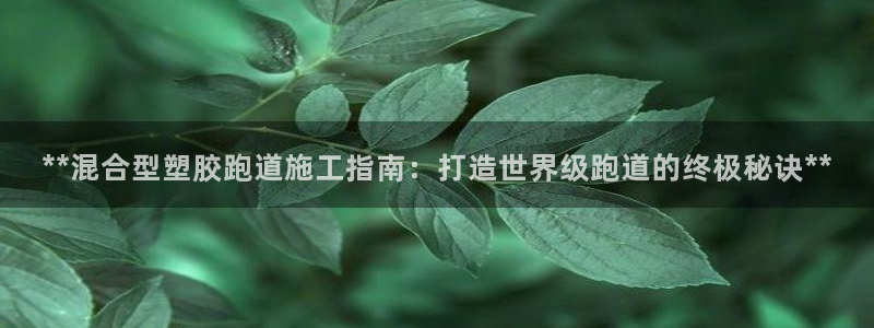 红足体育网
