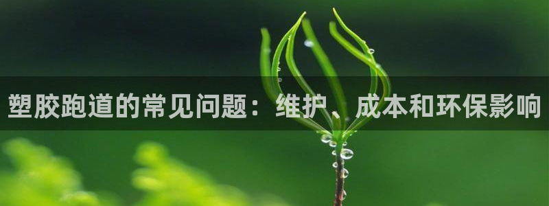红足一1世手机版新皇冠