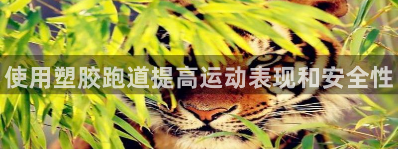 百度红足一1是什么样子的