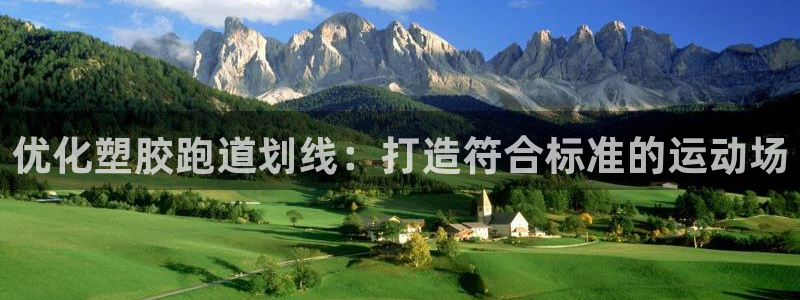 红足一生世：优化塑胶跑道划线：打造符合标准的运动场