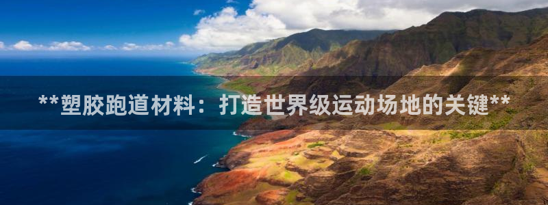 红足一生世：**塑胶跑道材料：打造世界级运动场地的关键**