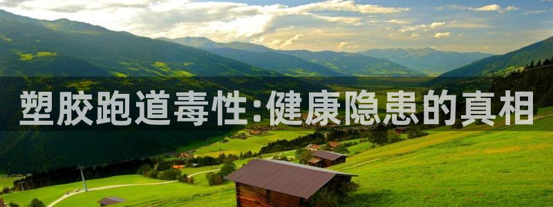 红足1世手足球比分：塑胶跑道毒性:健康隐患的真相